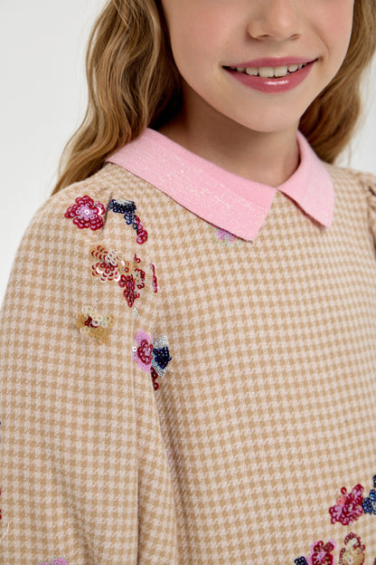 Dress with a collar and embroidery