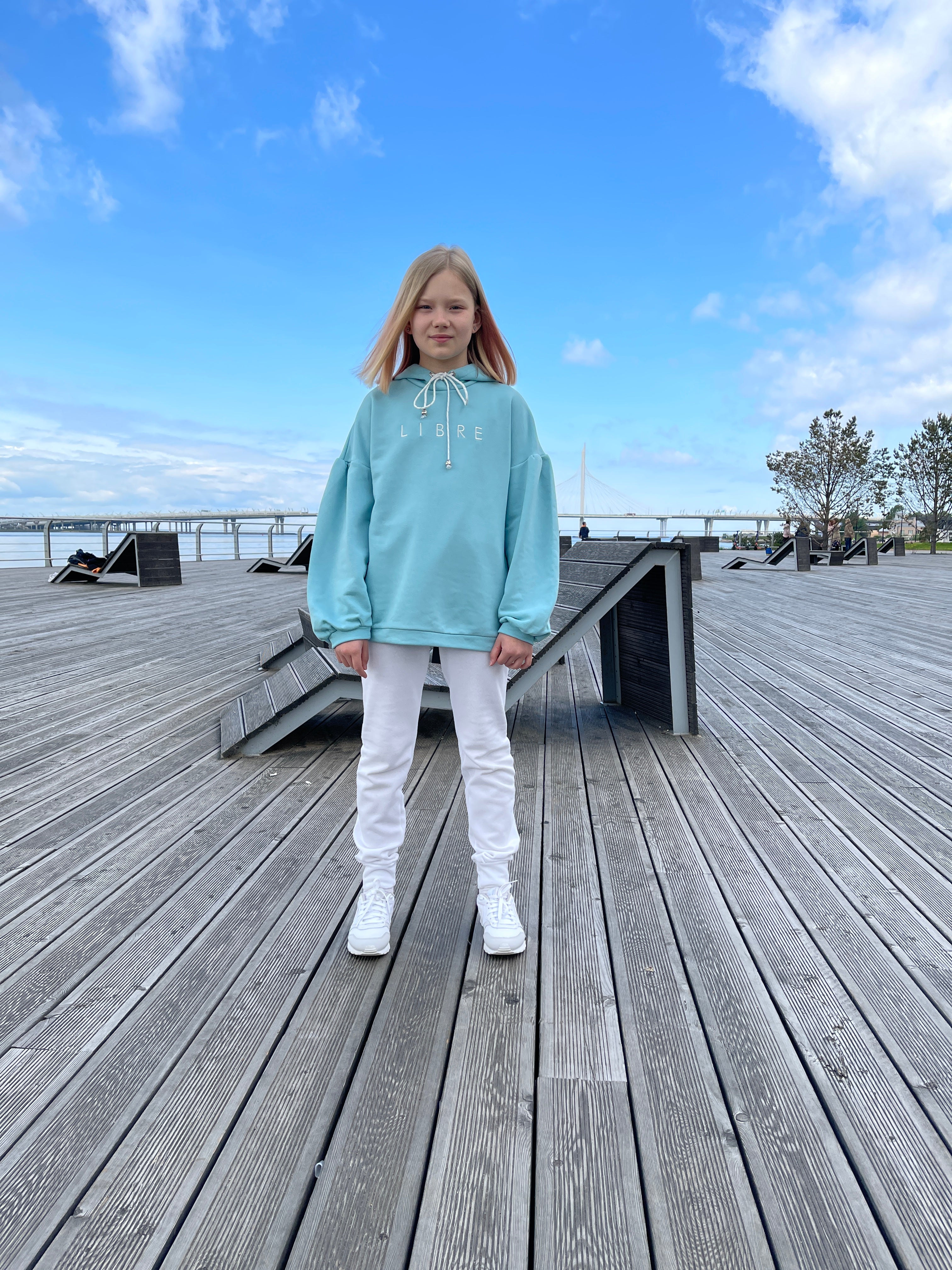 Hoodie with embroidery